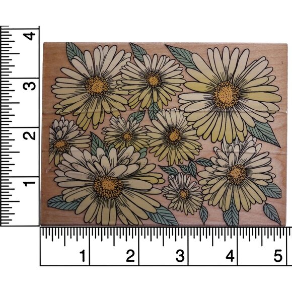 Hero Arts Daisy Portrait Background Rubber Stamp - Picture 3 of 5